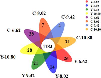 Comparison of rumen bacterial communities between yaks (Bos grunniens) and Qaidam cattle (Bos taurus) fed a low protein diet with different energy levels